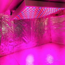 growbox attrezzatura