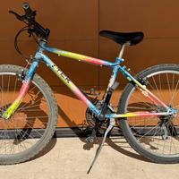 Mountain Bike da bambino