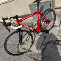 Bici da corsa tg 54