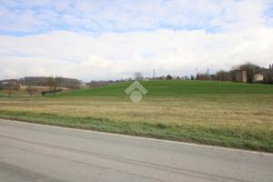 TER. RESIDENZIALE A POGGIO MIRTETO