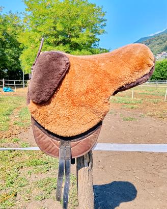 bareback equitazione 