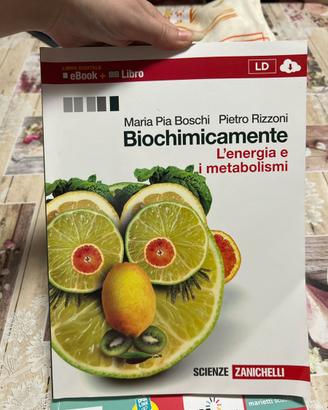 Biochimicamente- l’energia e i metabolismi