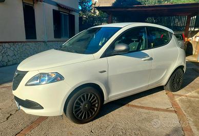 Lancia Ypsilon 1.3 MJT 95cv anno 2014 Elef , Tratt