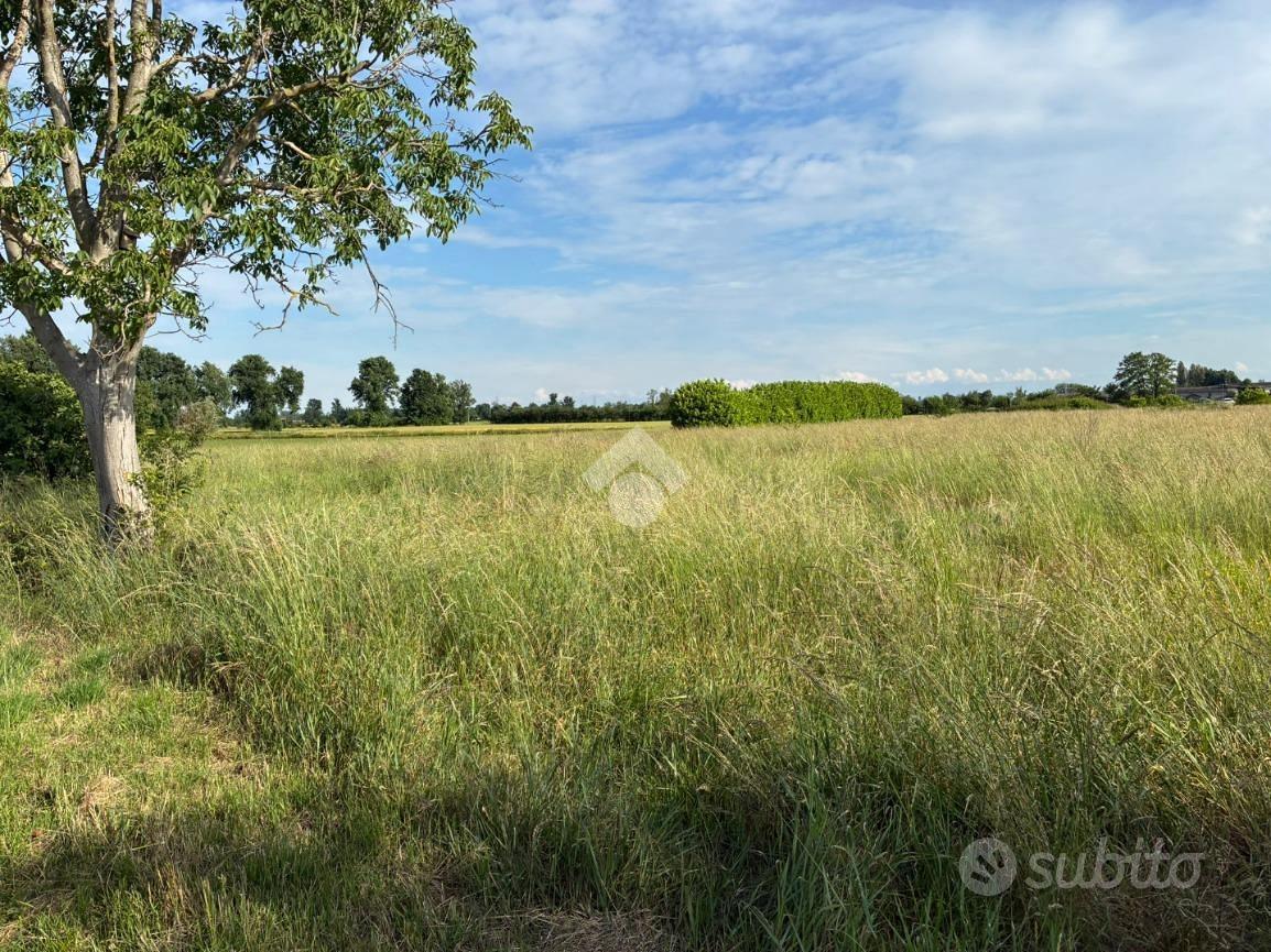 TER. AGRICOLO A CORBETTA - Vista 4