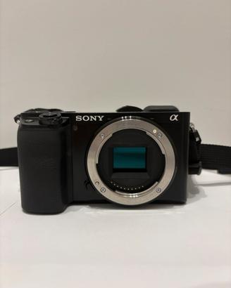 Sony a6100 (5904) scatti