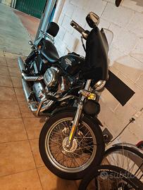 Harley-Davidson Sportster 883 Low (XL883L) - Pari