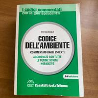 Codice dell'ambiente