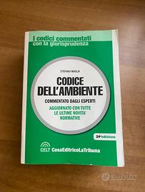 Codice dell'ambiente