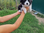 Immagine 10