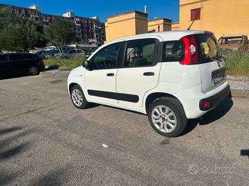 Panda 2015