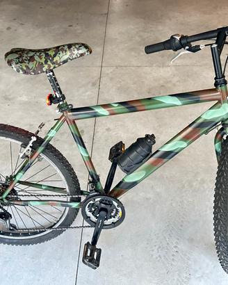 Mountain bike