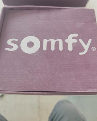 SOMFY 1810624A - ricevitore universale RTS