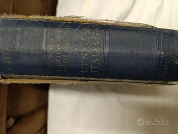 Dizionario scolastico