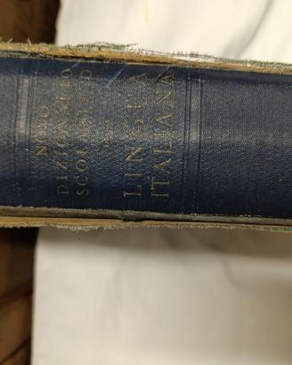 Dizionario scolastico