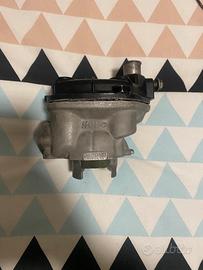 hebo ptanegra piaggio