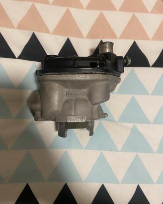 hebo ptanegra piaggio