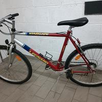 Mountain bike