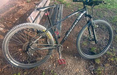 MTB 29