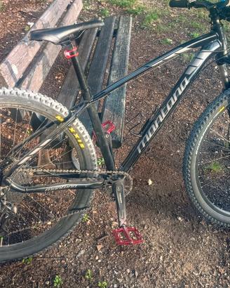 MTB 29