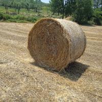 Balloni di fieno