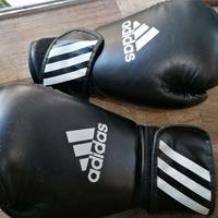 guantoni da boxe