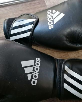 guantoni da boxe