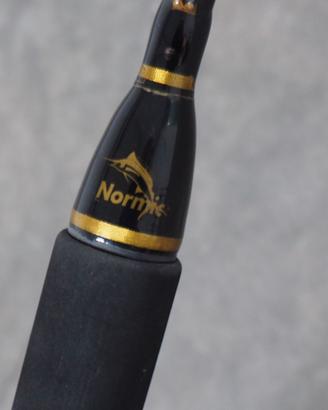 Canna Normic 12 lbs IGFA + Alutecnos ALBACORE 20 W