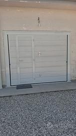 Basculante con porta pedonale