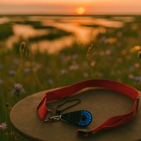 🔑 Portachiavi Armani con Chiavetta USB da 2 GB