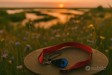 🔑 Portachiavi Armani con Chiavetta USB da 2 GB