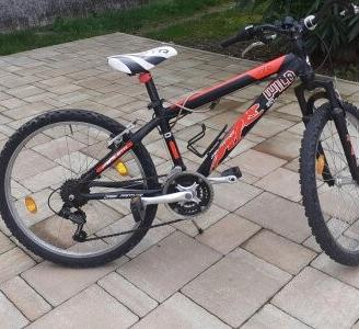 bicicletta mountain bike