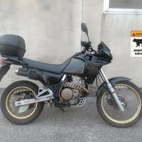 HONDA DOMINATOR