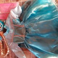 Vestito di carnevale principessa con accessori