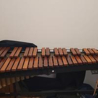 xilofono - strumenti a percussione