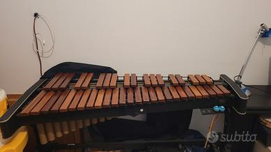 xilofono - strumenti a percussione