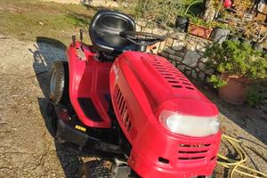 trattorino trincia erba. tagliaerba