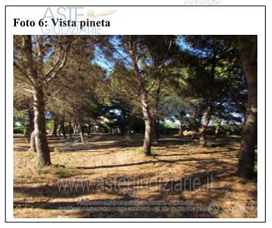 Terreno Agricolo Marsala [A4355179] - Altro