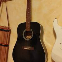 chitarra  Acustica Gonzales