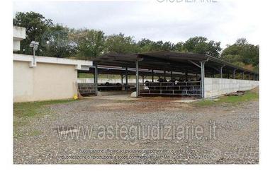 Azienda Agricola Castelcivita [A4270342]