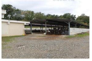 Azienda Agricola Castelcivita [A4270342]