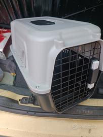 kit per gatti 
