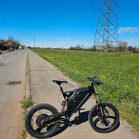 E-bike custom Artigianale - 12.3 kW