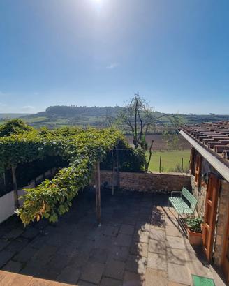 Tarquinia Chalet da sogno, pet friendly
