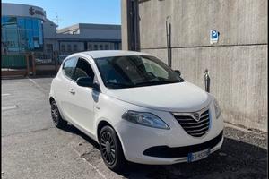 LANCIA Y elefantino