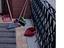 Immagine 12
