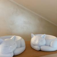 Ciotole per gatti
