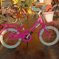 Due biciclette Alpina