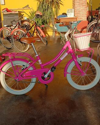 Due biciclette Alpina