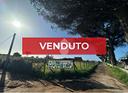 ter-residenziale-a-nettuno