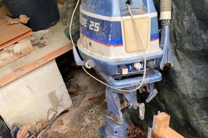Ricambi Evinrude 25